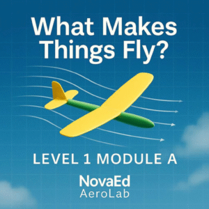 What Makes Things Fly? [1A]