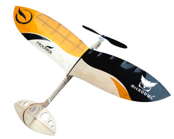 Flyable Micro Airplane Glowing Micro Airplane Engineering Class Grades 6+ Corona CA